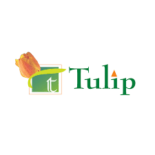 tulip